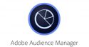 Adobe Audience Manager